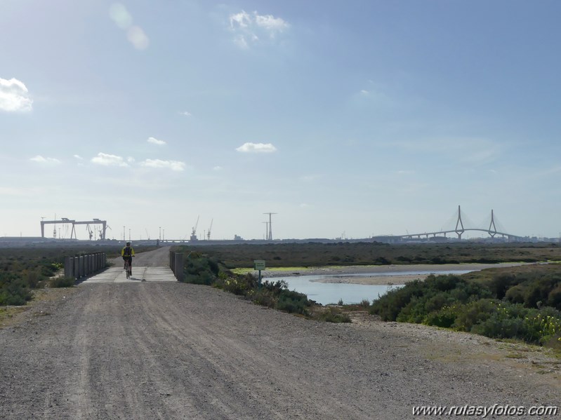 Marisma de los Toruños y Pinar de la Algaida