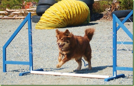 538160_10150963471780879_604480878_12096644_307454417_n