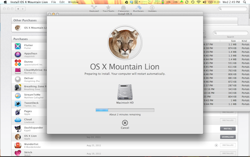 Mountainlioninstall