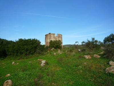 P1060910