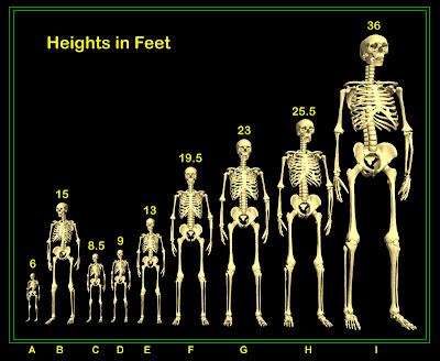 bmi chart for men. mi chart for men.