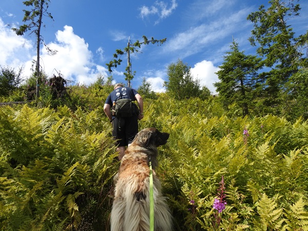 Høgfjell Vikerfjell Vassfarstien