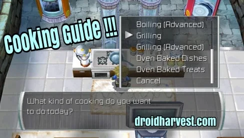 Harvest Moon: Innocent Life Cooking Guide