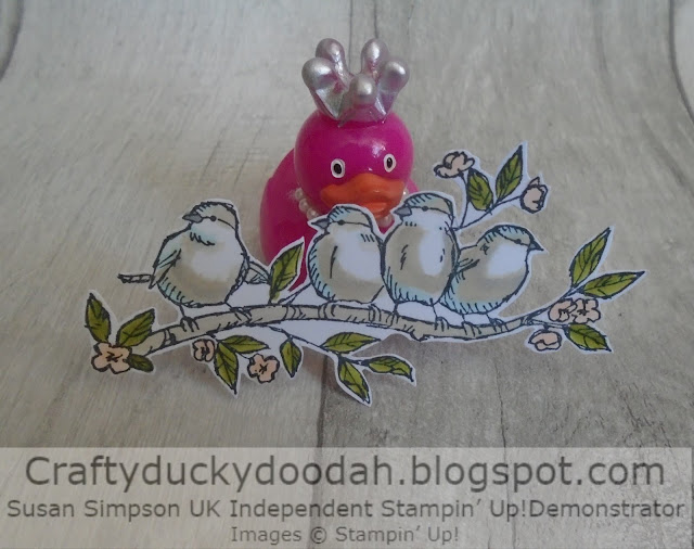 Craftyduckydoodah!, Free As A Bird, Hopping Around The World, Supplies available 24/7 from my online store, Susan Simpson UK Independent Stampin' Up! Demonstrator