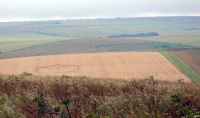 Amazing Crop Circle