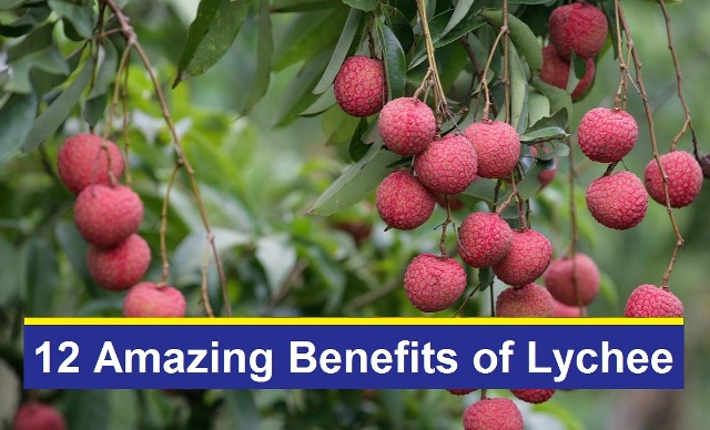 12 Amazing Nutrition Facts and Health Benefits of Lychee