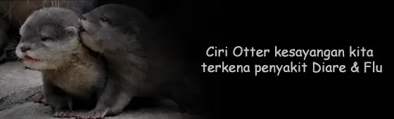 Ciri Otter Terkena Penyakit