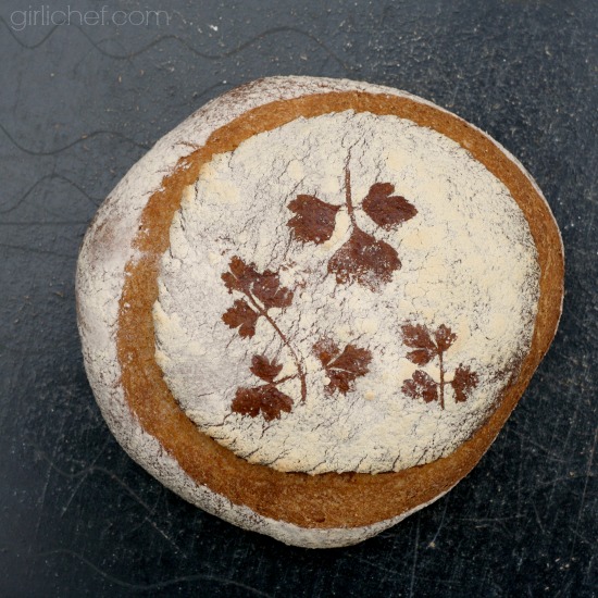 Robert May's French Bread (a 354-year old recipe)