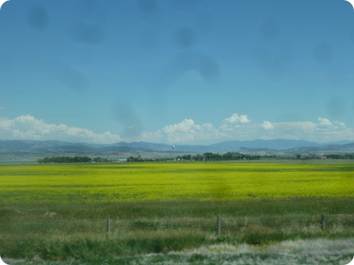 Our Drive 091