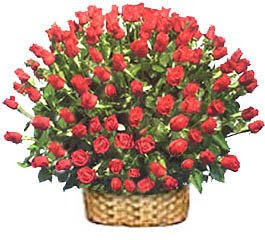 Flowers Gift for Valentine's Day