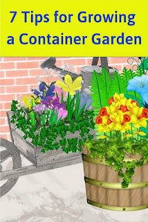 7 Great Tips for Growing a Container Garden