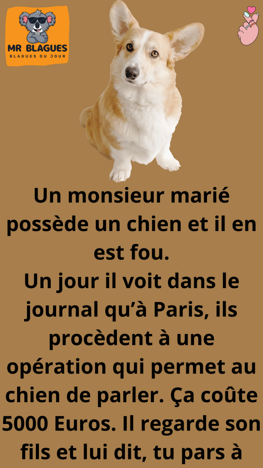 Le chien il parle ?