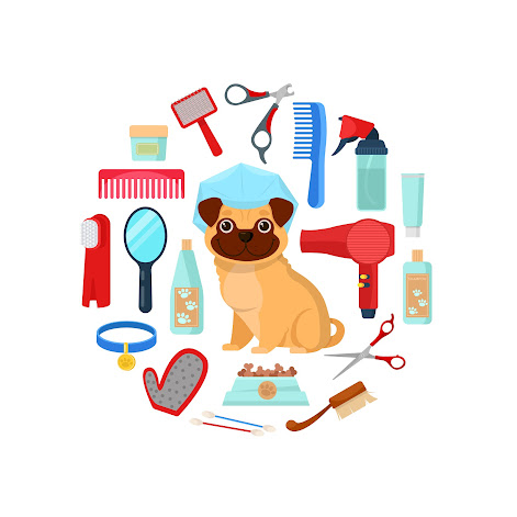 7 Must-Have Dog Grooming Supplies Every Pet Owner Needs