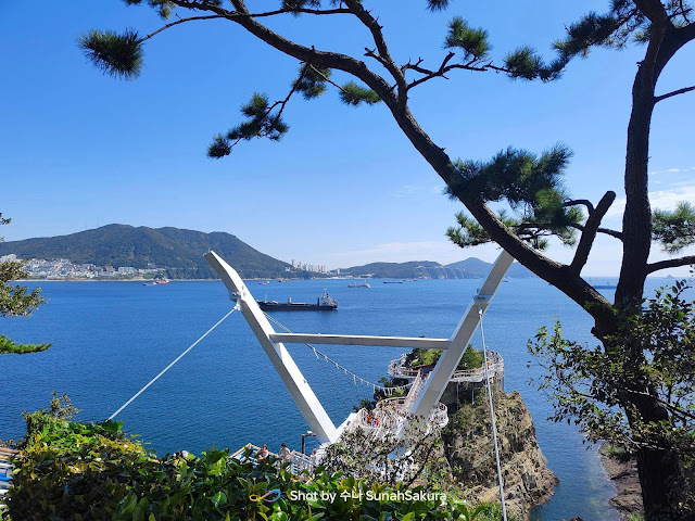 First Time Naik Cable Car - Busan Air Cruise dan Songdo Cloud Trails, Busan