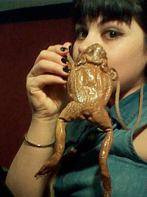 taxidermy frog purse