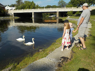 My Family Admiring Swans