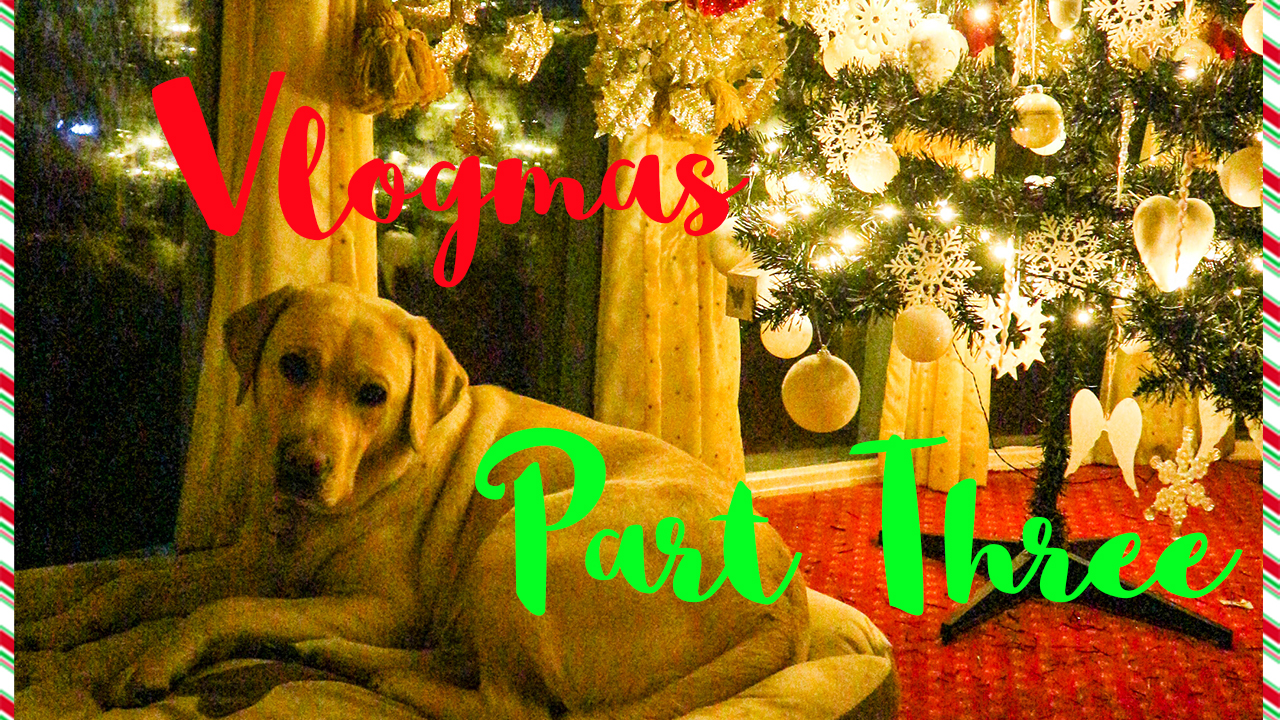 CHRISTMAS DECORATIONS TOUR | VLOGMAS PART THREE 2019