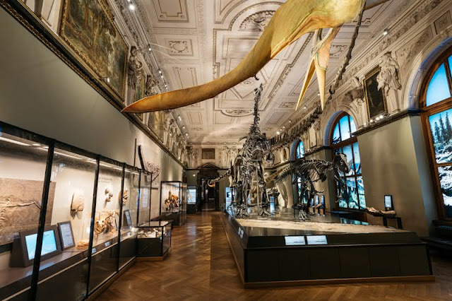 Museu de História da Arte e História Natural de Viena ´Austria