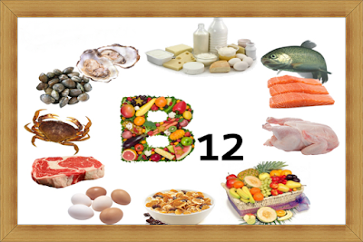 Top 20 Vitamin B12 Foods List