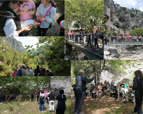 Εικόνα