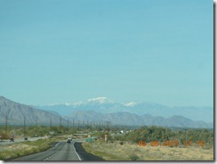 DSCN5223