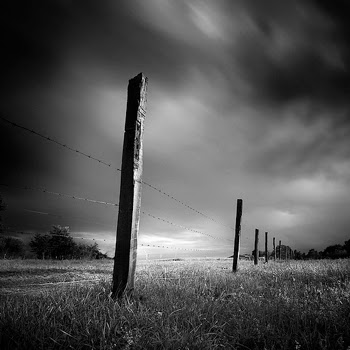 Black  White Wallpaper on Wallpapers Background  Black And White Landscapes Wallpapers