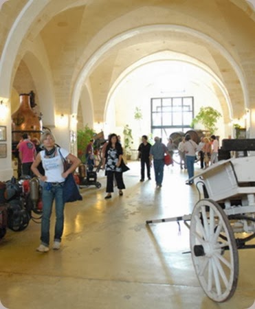 museo della civilta del vino primitivo1