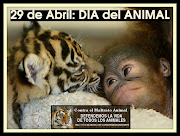 Todos los 29 de abril se festeja el Día del Animal en Argentina con la .