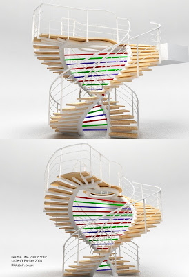 Double DNA Staircase