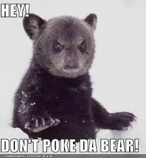 Image is a cute bear who looks very grumpy. Text says: Hey! Don't Poke Da Bear!