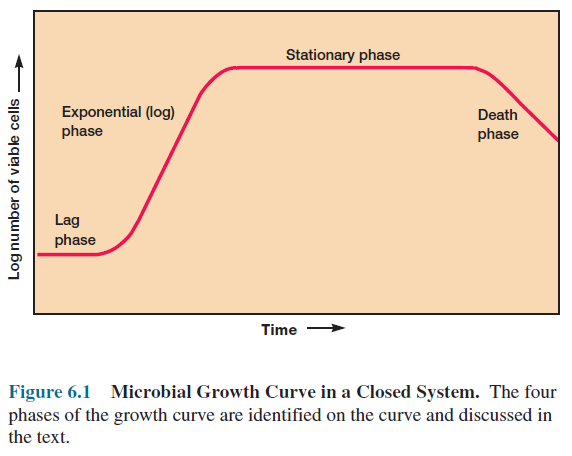 Microbial Growth Curve