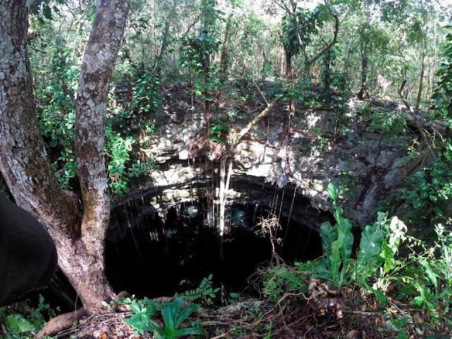 Άποψη της λίμνης γλυκού νερού, γνωστής ως cenote, όπου βρέθηκε το ξύλινο κανό που χρησιμοποιούσαν οι αρχαίοι Μάγια. [Credit: Εθνικό Ινστιτούτο Ανθρωπολογίας και Ιστορίας του Μεξικού (INAH)/μέσω REUTERS]