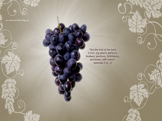 The fruit of the Spirit , 1024 x 768