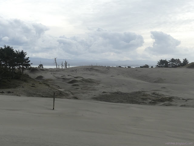 posts in the sand