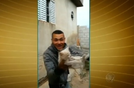 Jovem é filmado "arremessando" gato e causa revolta na web