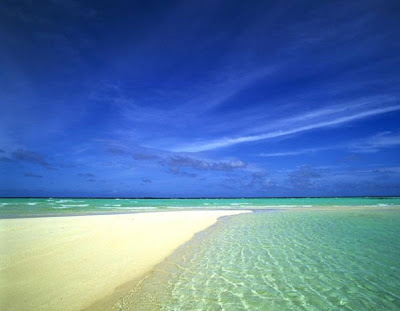 Beach Pictures