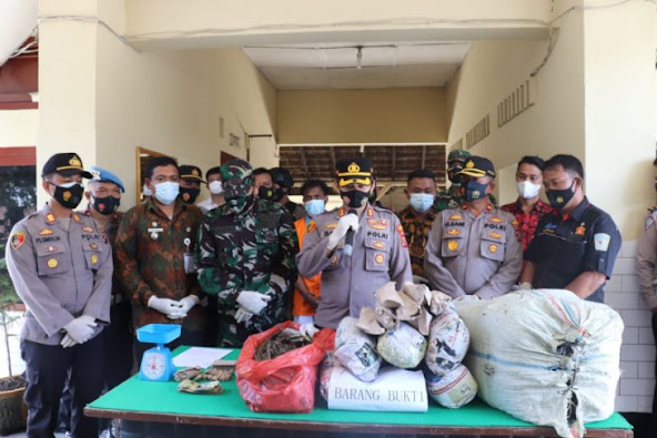 Polsek Pangkalan Brandan amankan 25,7 kilogram ganja