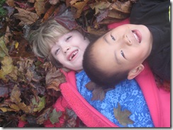 fall leaves 002
