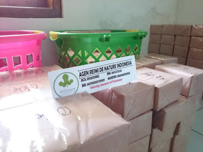 Paket Kemasan Polos Obat  Batu Ginjal 