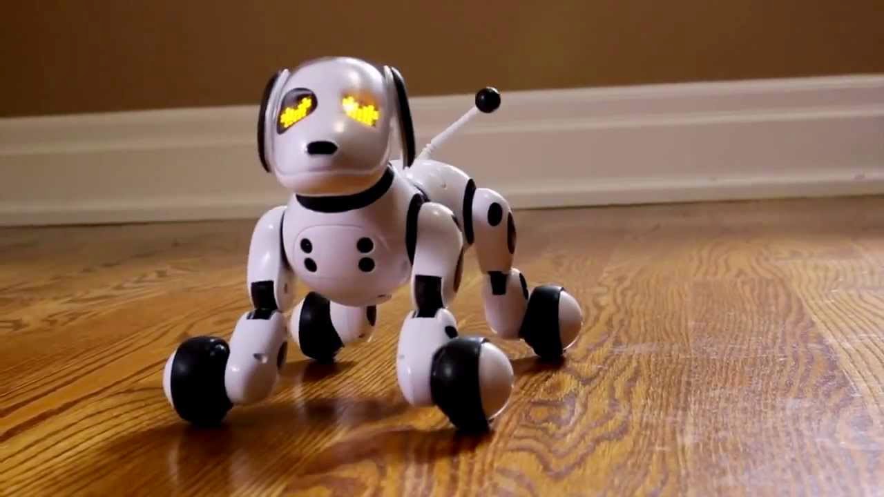 funny robot dog toy black