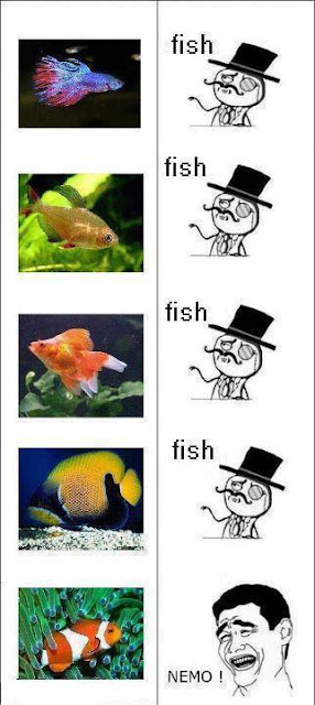 Memes - Buscando a Nemo