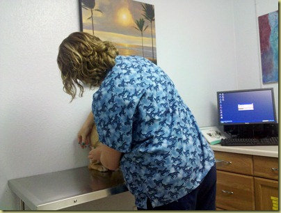 The vet giving Vienna one of her shots.  Vienna just stays in a sit without a fuss.