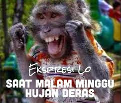 Gambar aneh unik dan lucu terbaru paling seru paling konyol paling gokil paling keren paling kocak paling gila animasi bergerak atau gambar bergerak tentang dp bbm hujan"ekspresi lo saat malam minggu hujan deres"seru banget paling gila dan yang paling terbaru