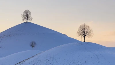 HD Wallpaper Winter, Hills, Trees, Snow