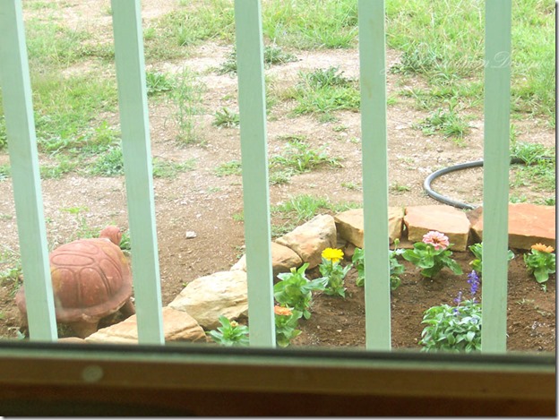 Window_View