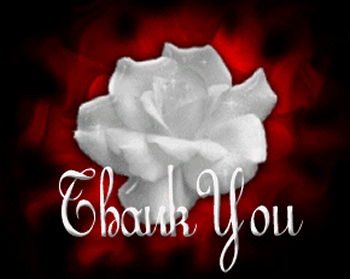 thankyou04qv7