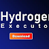 Hydrogen Gateway - Checkpoint 1 - Access latest version of Hydrogen