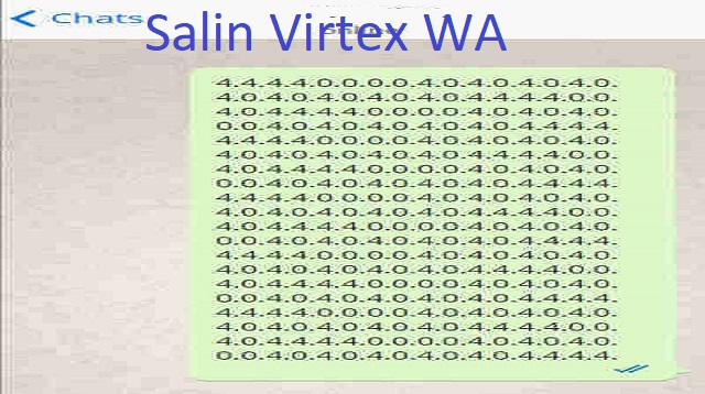 Salin Virtex WA