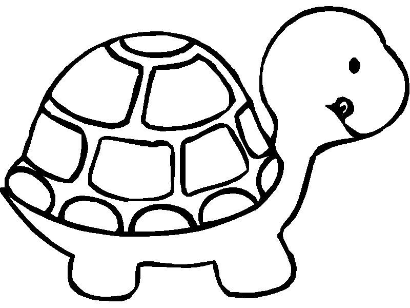 Animal Turtle Coloring Pages title=