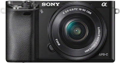 Best Camera for Non Professionals